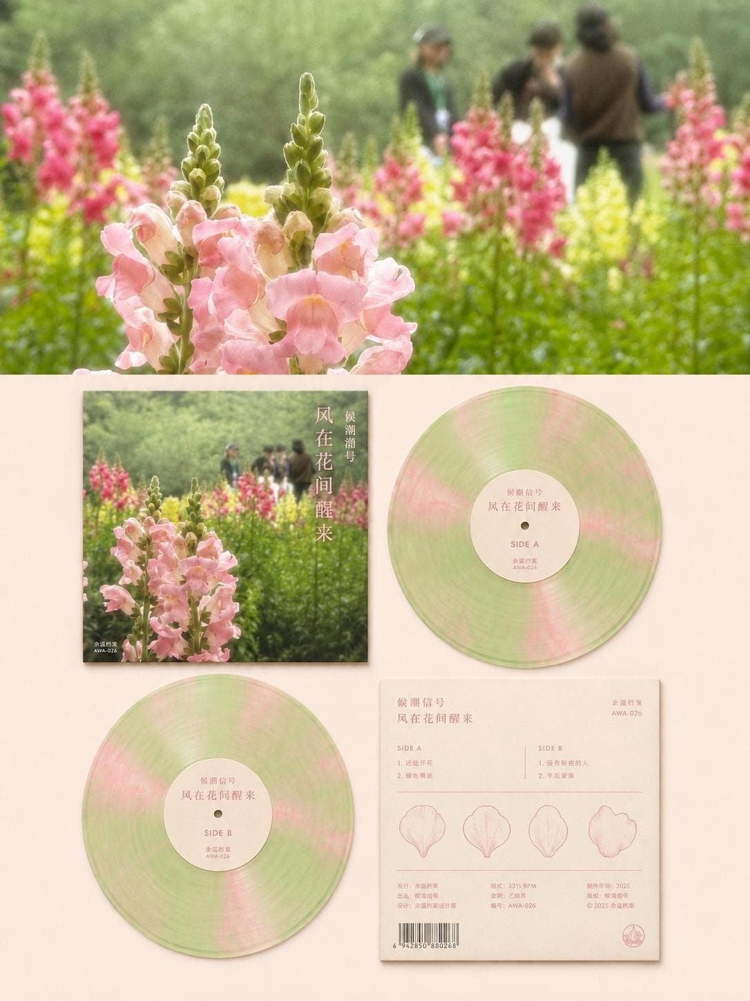 Fictional Vinyl Release style example